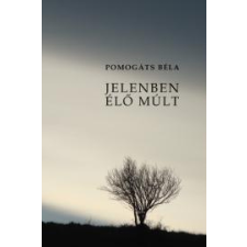 NAPKÚT Jelenben élő múlt egyéb e-könyv