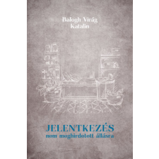 Napkút Kiadó Jelentkezés nem meghirdetett állásra regény