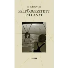 Napkút Kiadó N. Borosnyay Katalin - Felfüggesztett pillanat irodalom