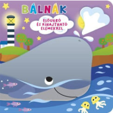 Napraforgó Könyvkiadó Ki bújt el? Bálnák gyermek- és ifjúsági könyv
