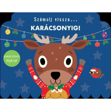 Napraforgó Könyvkiadó Számolj vissza... Karácsonyig! gyermek- és ifjúsági könyv