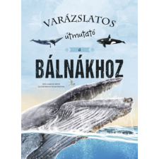 Napraforgó Varázslatos útmutató a bálnákhoz gyermek- és ifjúsági könyv