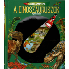 Napraforgó Zseblámpával - A dinoszauruszok nyomában gyermek- és ifjúsági könyv