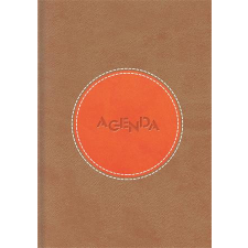  Naptár, tervező, A5, napi, DAYLINER "Central", barna-narancs naptár, kalendárium