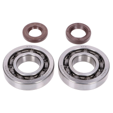 Naraku FKM Heavy Duty C3 csapágykészlet a Peugeot 100cc 2 ütemű motorjához egyéb motorkerékpár alkatrész