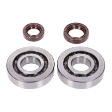 Naraku SKF, FKM Premium C3 csapágykészlet a Peugeot számára Euro1 álló Peugeot-hoz egyéb motorkerékpár alkatrész