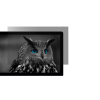 Natec Owl 27