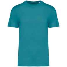 Native Spirit Native Spirit NS300 ECO-FRIENDLY UNISEX T-SHIRT 2XL