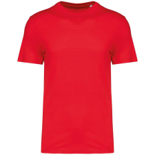 Native Spirit Native Spirit NS300 ECO-FRIENDLY UNISEX T-SHIRT 3XL férfi póló