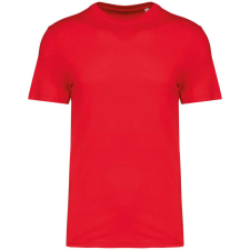 Native Spirit Native Spirit NS300 ECO-FRIENDLY UNISEX T-SHIRT 5XL férfi póló