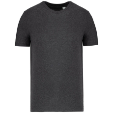 Native Spirit Native Spirit NS300 ECO-FRIENDLY UNISEX T-SHIRT L