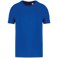 Native Spirit Native Spirit NS300 ECO-FRIENDLY UNISEX T-SHIRT XXS férfi póló
