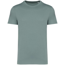 Native Spirit Native Spirit NS305 UNISEX ECO-FRIENDLY T-SHIRT 2XL férfi póló