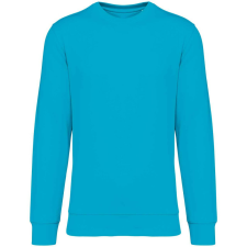 Native Spirit Native Spirit NS400 ECO-FRIENDLY UNISEX ROUND NECK SWEATSHIRT L férfi pulóver, kardigán