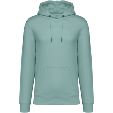 Native Spirit Native Spirit NS401 ECO-FRIENDLY UNISEX HOODED SWEATSHIRT XL