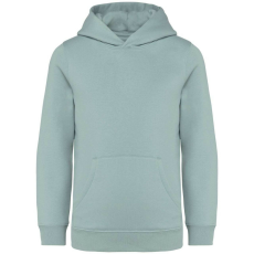 Native Spirit Native Spirit NS404 KIDS’ HOODED SWEATSHIRT 12/14