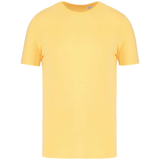 Native Spirit NS300 ECO-FRIENDLY UNISEX T-SHIRT 3XL női póló