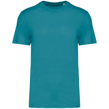 Native Spirit NS300 ECO-FRIENDLY UNISEX T-SHIRT 3XL férfi póló