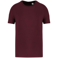  Native Spirit NS300 ECO-FRIENDLY UNISEX T-SHIRT 4XL