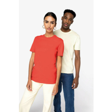 Native Spirit NS300 ECO-FRIENDLY UNISEX T-SHIRT L férfi póló