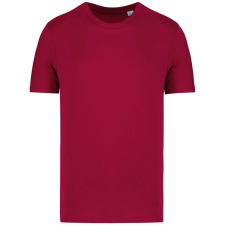Native Spirit NS300 ECO-FRIENDLY UNISEX T-SHIRT XL munkaruha