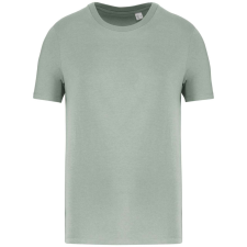 Native Spirit NS300 ECO-FRIENDLY UNISEX T-SHIRT XL munkaruha