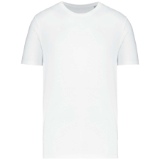 Native Spirit NS300 ECO-FRIENDLY UNISEX T-SHIRT XL munkaruha