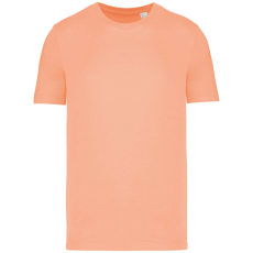Native Spirit NS300 ECO-FRIENDLY UNISEX T-SHIRT XS