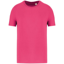 Native Spirit NS300 ECO-FRIENDLY UNISEX T-SHIRT XS munkaruha