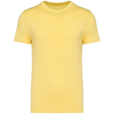 Native Spirit NS305 UNISEX ECO-FRIENDLY T-SHIRT XL
