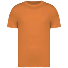 Native Spirit NS305 UNISEX ECO-FRIENDLY T-SHIRT XL