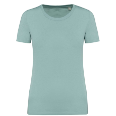 Native Spirit NS324 LADIES' T-SHIRT S