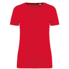 Native Spirit NS324 LADIES' T-SHIRT XL