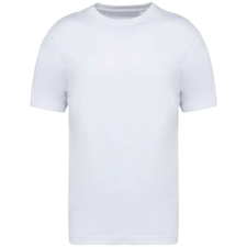 Native Spirit NS332 MEN'S OVERSIZED T-SHIRT XL munkaruha