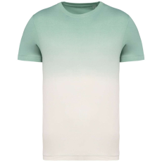 Native Spirit NS345 UNISEX ECO-FRIENDLY DIP DYE T-SHIRT 2XL