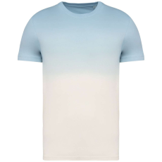Native Spirit NS345 UNISEX ECO-FRIENDLY DIP DYE T-SHIRT L