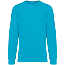 Native Spirit NS400 ECO-FRIENDLY UNISEX ROUND NECK SWEATSHIRT XXS
