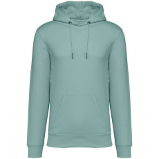 Native Spirit NS401 ECO-FRIENDLY UNISEX HOODED SWEATSHIRT L