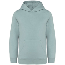 Native Spirit NS404 KIDS’ HOODED SWEATSHIRT 6/8 gyerek pulóver, kardigán