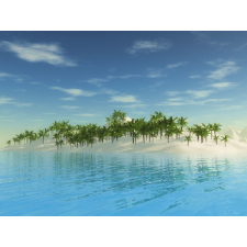  Natura25 öntapadó és mosható fali tapéta, 300 x 200 cm tapéta, díszléc és más dekoráció