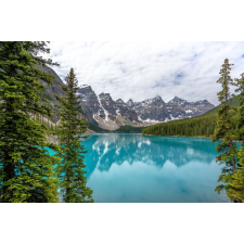  Natura28 öntapadó és mosható fali tapéta, 250 x 200 cm tapéta, díszléc és más dekoráció