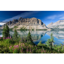  Natura43 öntapadós tapéta, 250 x 150 cm tapéta, díszléc és más dekoráció