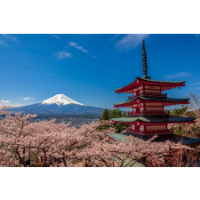  Natura45 öntapadó és mosható fali tapéta, 250 x 200 cm tapéta, díszléc és más dekoráció