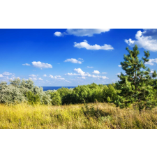  Natura48 öntapadó és mosható fali tapéta, 250 x 200 cm tapéta, díszléc és más dekoráció
