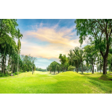  Natura69 öntapadós és mosható fali tapéta, 250 x 200 cm tapéta, díszléc és más dekoráció