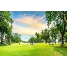  Natura69 öntapadós tapéta, 300 x 200 cm tapéta, díszléc és más dekoráció