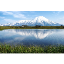  Natura75 öntapadó és mosható fali tapéta, 250 x 200 cm tapéta, díszléc és más dekoráció