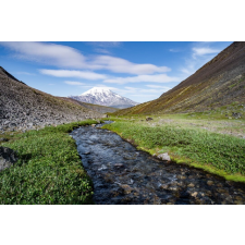  Natura80 tapéta, 300 x 200 cm tapéta, díszléc és más dekoráció