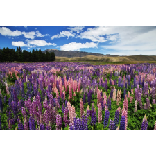  Natura86 öntapadós tapéta, 250 x 150 cm tapéta, díszléc és más dekoráció