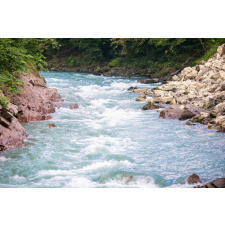  Natura89 öntapadós és mosható fali tapéta, 200 x 150 cm tapéta, díszléc és más dekoráció